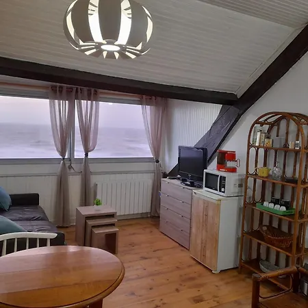 Studio Vue Panoramique Sur Mer - 20m2 - Wifi - 2 Personnes - Animaux Ok Lejlighed