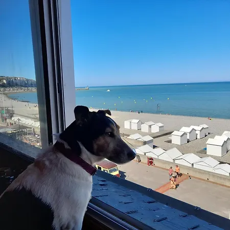 Studio Vue Panoramique Sur Mer - 20m2 - Wifi - 2 Personnes - Animaux Ok * Mers-les-Bains